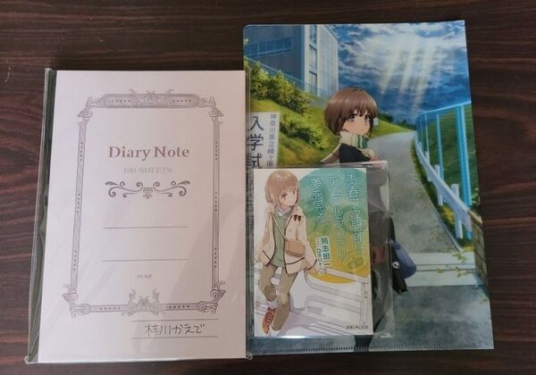 劇場版 青春ブタ野郎はおでかけシスターの夢を見ない かえでの日記帳 かえでとの思い出カード 1週目特典小説 前売りクリアファイル