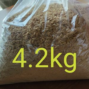 emボカシ　4.2kg　(米糠、籾殻　em菌)