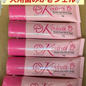 【5本】Kenteeth ケンティス 犬用歯みがきジェル