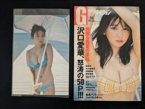 グラビア　ザテレビジョン　vol.56　沢口愛華　特典　生写真付