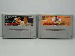 スーパーファミコン ソフト / 全日本プロレス / 全日本プロレス'世界最強タッグ / ソフトのみ