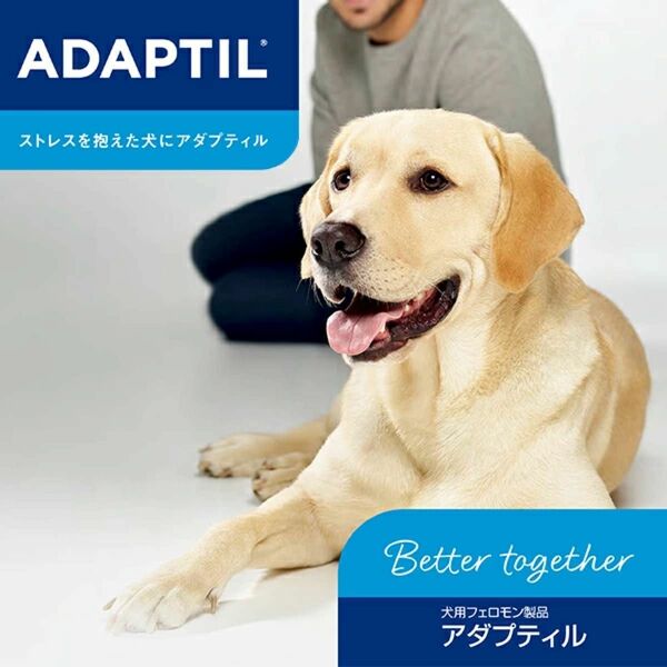 アダプティル 専用拡散器＋アダプティルリキッド48ml 1セット 犬用 フェロモン製剤 犬 小型犬 中型犬 大型犬 