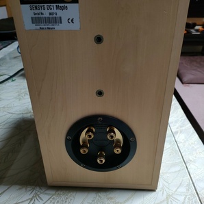 TANNOY SENSEYS DC1 Maple 美品の画像9