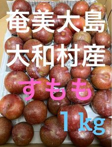 今が旬(^^)/ 奄美大島産すもも　1kg