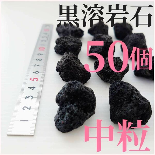 【希少】黒溶岩石 中粒50個☆アクアリウム、テラリウム、コケリウムに最適