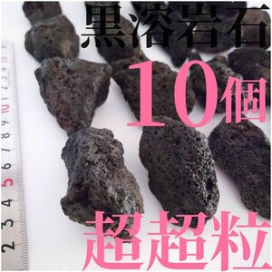 【希少】黒溶岩石 10個 【超超粒】☆アクアリウム、テラリウム、コケリウムに最適