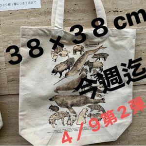 上野国立科学博物館でしか買えない！４／9新商品販売！大哺乳類展3 ヒグチユウコ トートバッグ 大学生