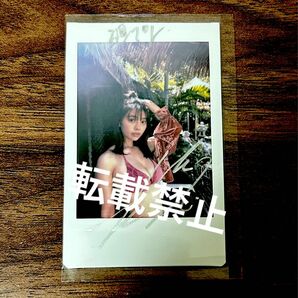 【最終価格】【当選品】菊地姫奈 週刊プレイボーイ サイン チェキ