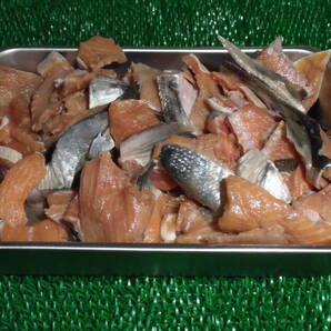 数量限定■即決■残り僅か！！ 北海道産 秋鮭(白鮭)の端材 2kg(2kg×1袋) 同梱可能の画像1