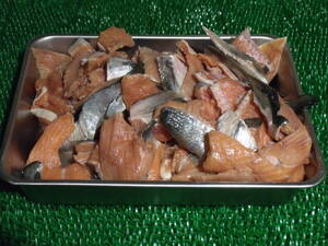 数量限定■即決■残り僅か！！ 北海道産 秋鮭(白鮭)の端材 2kg(2kg×1袋) 同梱可能
