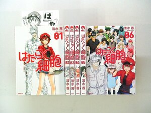 0040509090　清水茜　はたらく細胞　全6巻　　◆まとめ買 同梱発送 お得◆