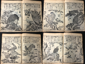 3296 flowers and birds .. bird phoenix hawk . another . go in picture book # head paper increase ... map .#13 Edo ~ Meiji period woodblock print tree version woodcut manners and customs .. peace book@ ukiyoe ukiyoe old book old document 