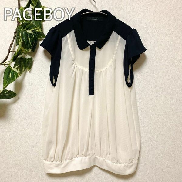 PAGEBOY シアー素材　トップス　 ブラウス　くるみボタン　フレアスリーブ