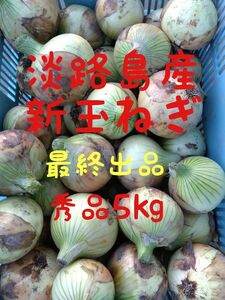 淡路島産新玉ねぎ◎秀品5㎏◎七宝