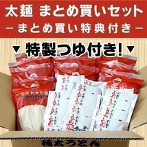 送料無料 うどん 讃岐うどん 30人前 つゆ付き まとめ買い しあわせ製麺 _画像2