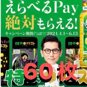 サントリー　特茶　絶対もらえる　えらべるPay 60枚