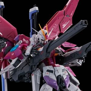 未組立新品 RG 1/144 デスティニーインパルス ガンダムSEED バンダイ ガンプラ