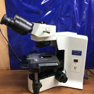 OLYMPUS BX41TF microscope 