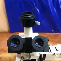 OLYMPUS オリンパス 双眼実体顕微鏡 BH2-UMA /BHMJ/レンズNeoDPlan 50/0.75 20/0.40 10/0.25 5/0.10 f=180　現状品_画像3
