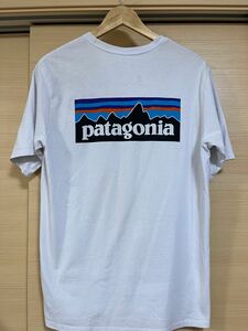 patagonia Tシャツ パタゴニア