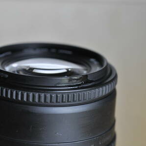 Nikon ニコンF4s SIGMA AF24mm f2.8付きの画像9