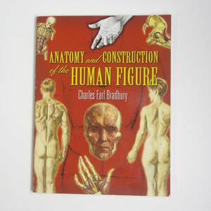 【英語】人 骨格 骨 筋肉★Anatomy and Construction of the Human Figure★洋書［14］