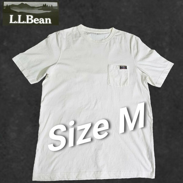 ★送料無料★L.L.Bean/エルエルビーン/Tシャツ/Mサイズ/半袖/メンズ