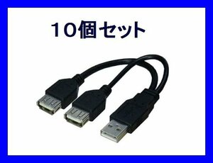 新品 変換名人 USB分岐ケーブル×10個 データ用/電源用
