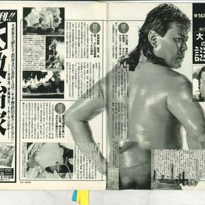 週刊フラッシュ 1993年6月29日号 酒井法子 大仁田厚 森高千里 ブルック・シールズの画像3