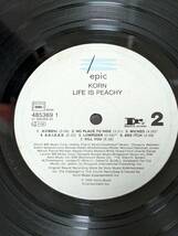 korn Life Is Peachy LP アナログ レコード_画像6