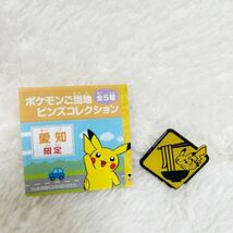 未使用品 ポケモンセンター ご当地ピンズコレクション 愛知 きしめん ピカチュウ ポケモン pokemon_画像1