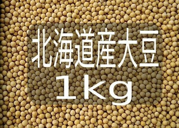 令和5年国産大豆　1.8 Kg　【北海道産小粒】