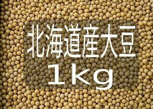 令和5年国産大豆　1 Kg　【北海道産小粒】