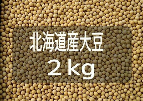 令和5年国産大豆　1.8 Kg　【北海道産小粒】