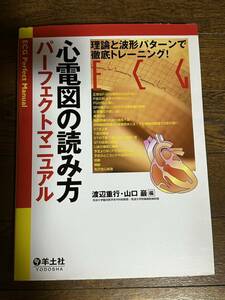 心電図の読み方　パフェクトマニュアル　書き込み無し