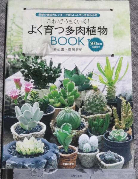 これでうまくいく！よく育つ多肉植物ＢOOK