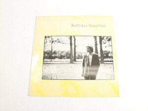 LP David Sylvian / Brilliant Trees / V2290 / レコード