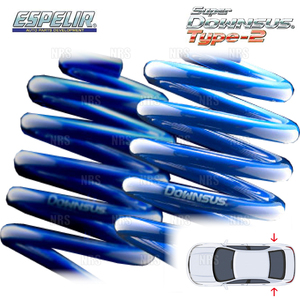 ESPELIR エスペリア スーパーダウンサス Type-2 (リア) カローラ フィールダー ZZE122G 1ZZ-FE H16/4～H18/10 2WD車 (EST-2571R