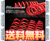 ESPELIR エスペリア スーパーダウンサスGT (リア) スカイラインGT-R R33/R34/BCNR33/BNR34 RB26DETT H7/1～H13/6 4WD車 (ESN-133R_画像2