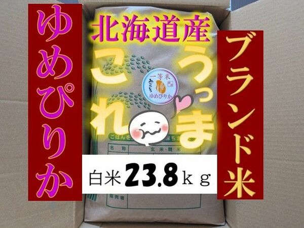 【送料無料】ゆめぴりか　１等米　白米23.8キロ　特A北海道米　令和５年産　農家直送 数量限定