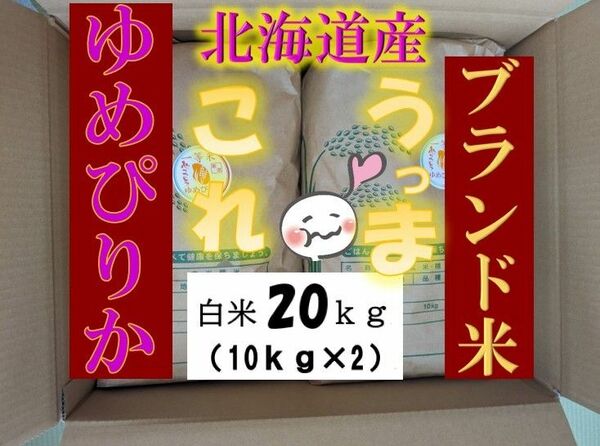 【送料無料】ゆめぴりか　１等米　白米20キロ　特A北海道米　令和５年産　農家直送 数量限定