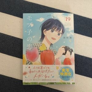 モブ子の恋　１９ （ゼノンコミックス） 田村茜