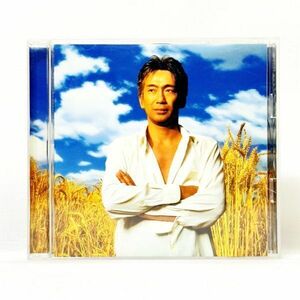 04686【中古】名盤玉置浩二 田園 KOJI TAMAKI BEST ベストCDアルバム cafe japan mr.lonely ルーキー junk land メロディー 星になりたい