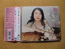 ＊【CD】日野美歌／知覧の桜/涙ひとつぶ（COCA17010）（日本盤）_画像1