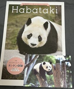 シャンシャン シンシン 上野動物園 公式ポストカード タンタン 特集号 冊子 フリーマガジン Habataki ポスター 神戸王子動物園