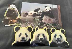  car n car nsinsin Ueno zoo official postcard sticker Lee Lee set 