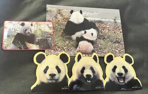 シャンシャン シンシン 公式ポストカード 上野動物園 ステッカー 非売品 シンシン リーリー 