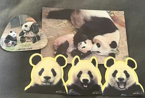 シャンシャン 公式ポストカード 上野動物園 ステッカー 非売品 シンシン リーリー しおり
