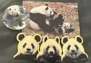  car n car nsinsin official postcard Ueno zoo sticker not for sale Lee Lee book mark 