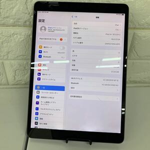 iPad Air3 64gb Junk 